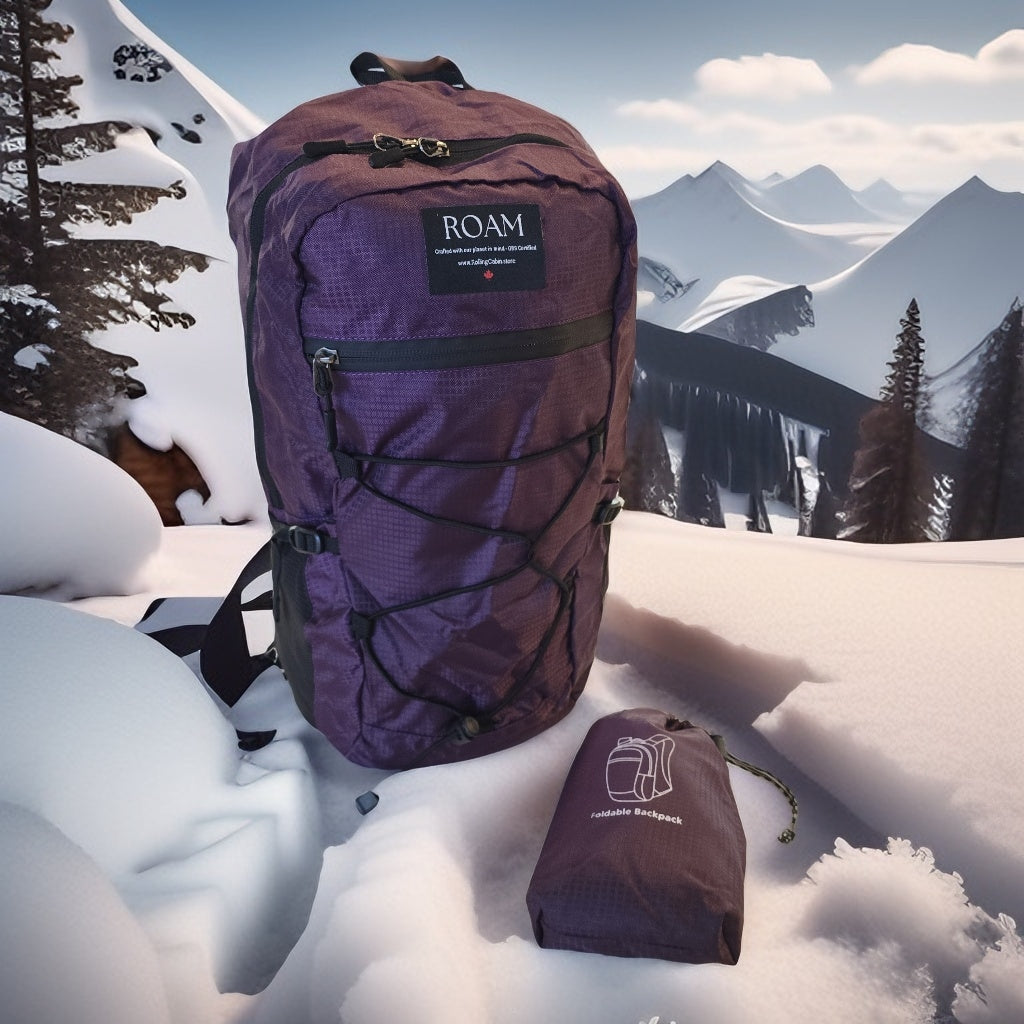Ultralight Daypack _ 20L Packable & Water Resistant